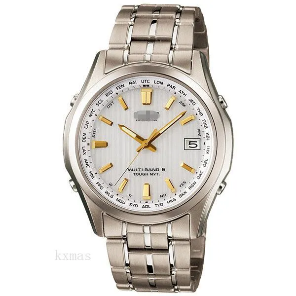 Beautiful Elegance Titanium Replacement Watch Band LIW-T100TD-7AJF_K0002052