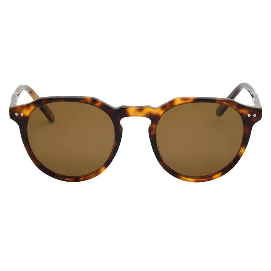 I-SEA | Watty | Tort Acetate/Brown Polarized