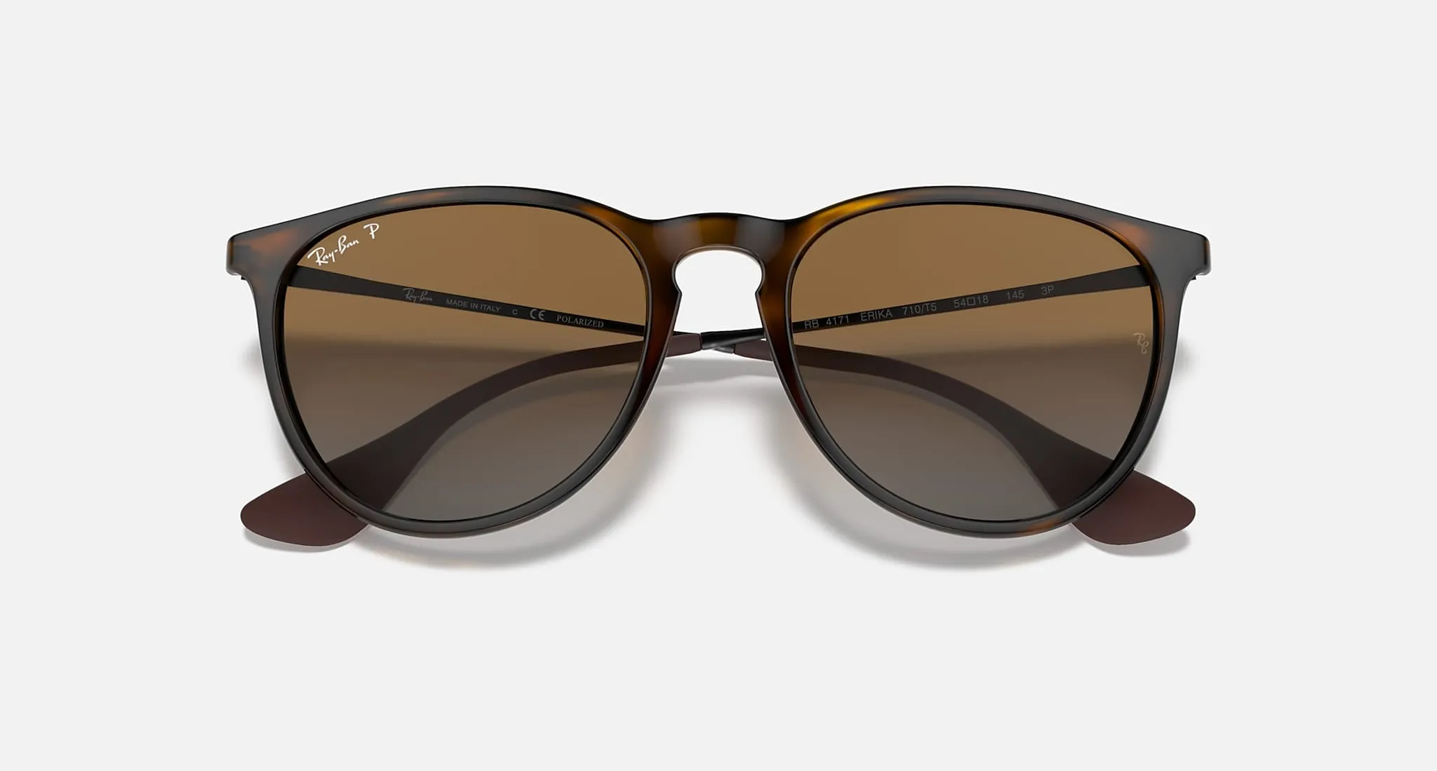 Ray-Ban RB 4171 Erika Sunglasses