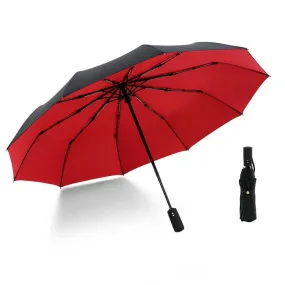 Wind Resistant Automatic Double-layer Umbrella