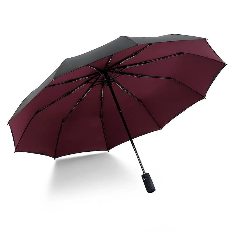Wind Resistant Automatic Double-layer Umbrella